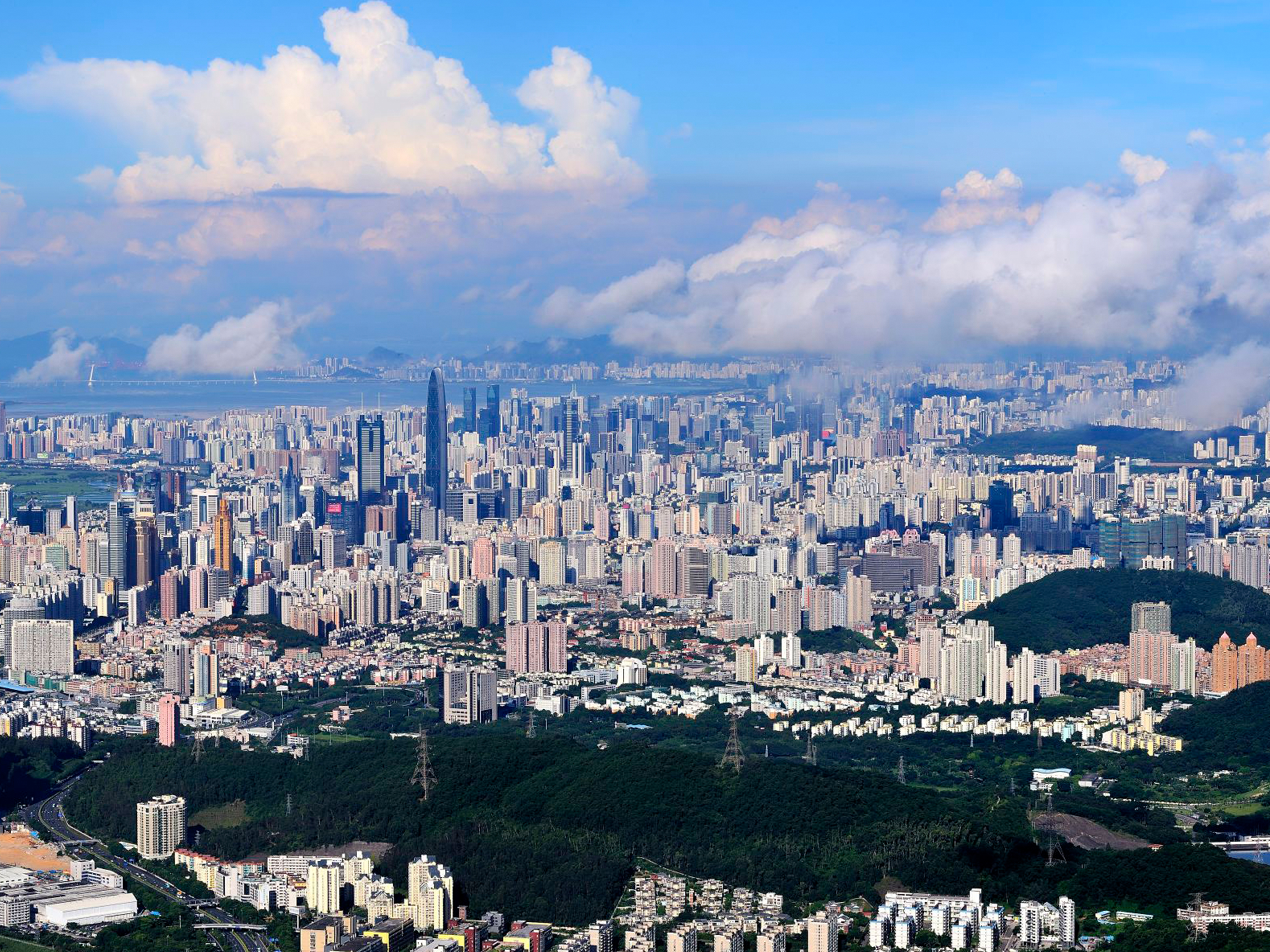 深圳市某工業(yè)中心城市更新單元生態(tài)修復專項研究